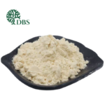Isolated Soy Protein Powder – Plant Protein Ingredient for Meat Processing and Food Applications