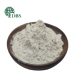 Onion Powder – Natural Dehydrated Onion Flavor Ingredient for Meat and Food Applications
