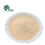Squid protein hydrolysate powder as a natural umami ingredient for meat products