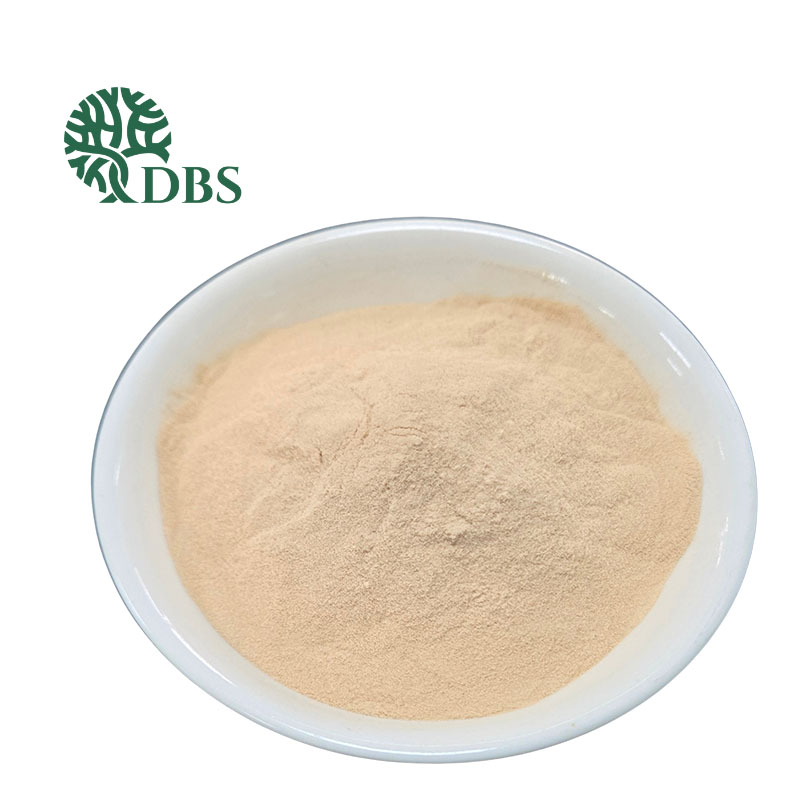 Squid Protein Hydrolysate Powder Squid protein hydrolysate powder as a natural umami ingredient for meat products